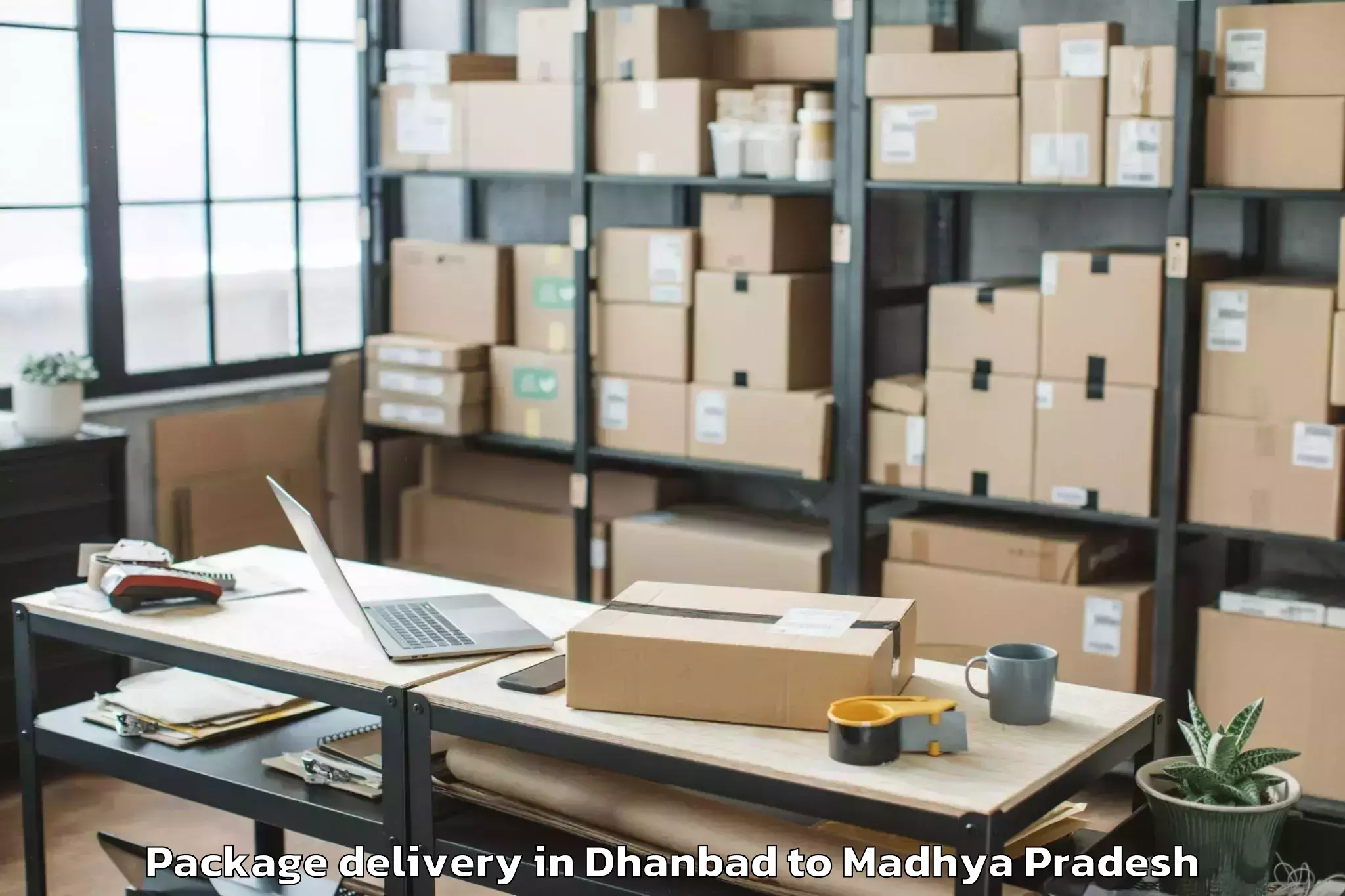 Professional Dhanbad to Rithi Package Delivery